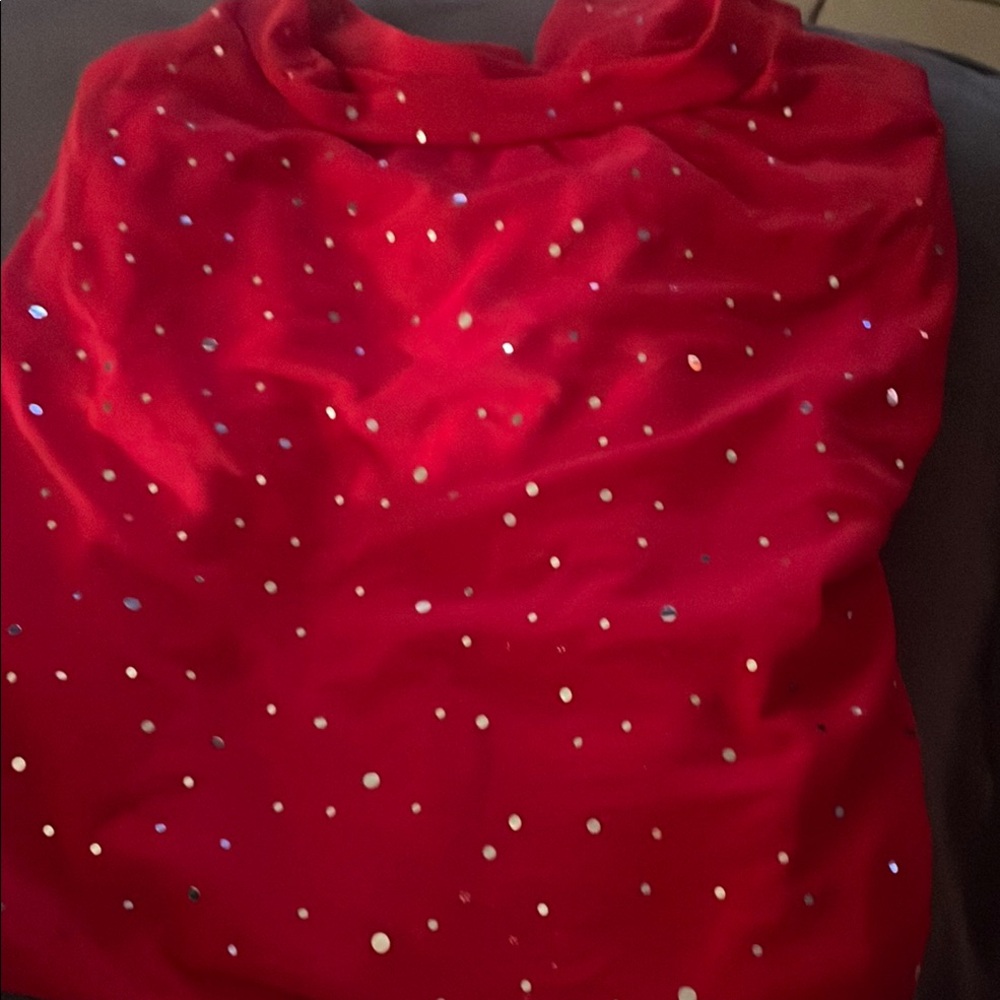 Red Top with Sparkling Accents